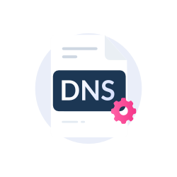 Custom DNS settings